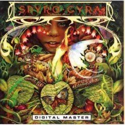 SPYRO GYRA - MORNING DANCE - CD