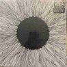 VOLA - WITNESS (LP COLOR) - LP
