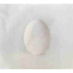 WILCO - A GHOST IS BORN - 2CD