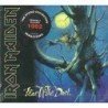IRON MAIDEN - FEAR OF THE DARK - CD
