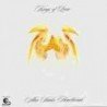 KINGS OF LEON - AHA SHAKE HEARTBREAK - CD