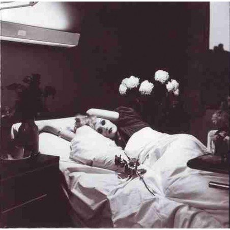 ANTONY AND THE JOHNSONS - I AM A BIRD NOW - CD