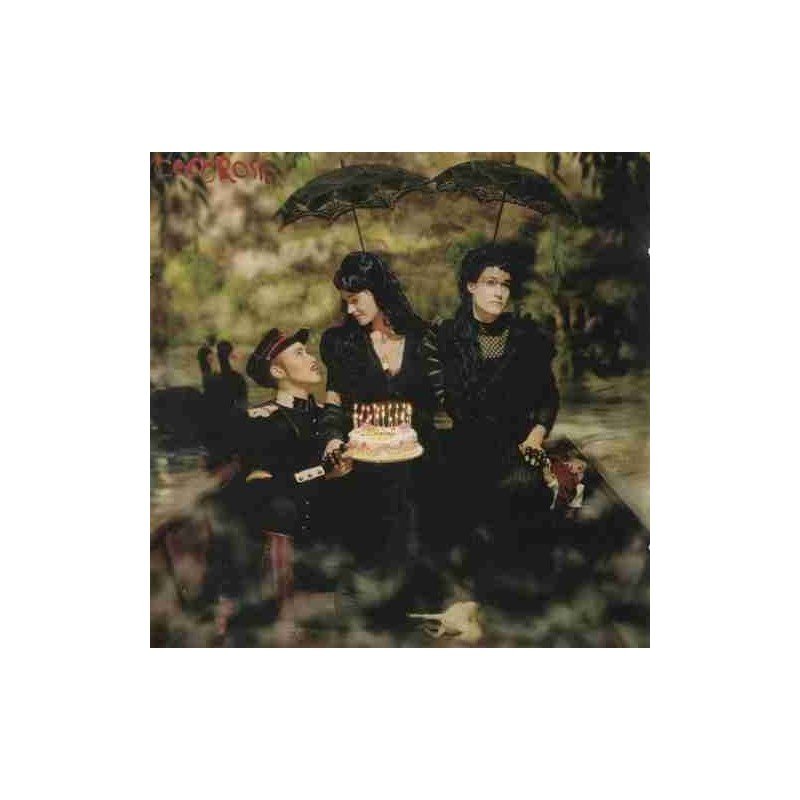 COCOROSIE - THE ADVENTURES OF GHOSTHORSE AND STILLB - CD COCOROSIE - THE ADVENTURES OF GHOSTHORSE AND STILLB - CD