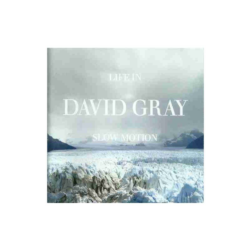 DAVID GRAY - LIFE IN SLOW MOTION - CD DAVID GRAY - LIFE IN SLOW MOTION - CD