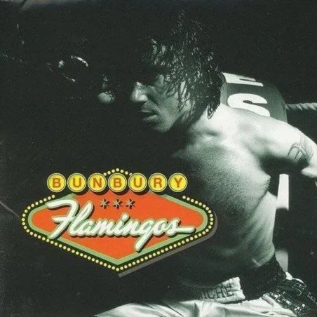 BUNBURY - FLAMINGOS - (2LP VINILOS)