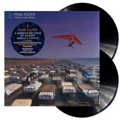 PINK FLOYD - A MOMENTARY LAPSE OF REASON -  (2LP VINILO)
