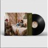 VANESA MARTIN - CASA MIA ( LP )