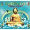 BUDDHA BAR - SUMMER OF LOVE (2CD)