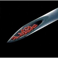 PETER GABRIEL - LIVE BLOOD (2CD)