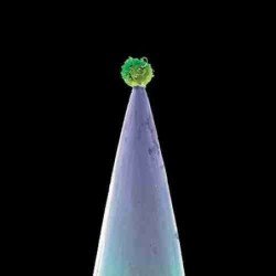 PETER GABRIEL - NEW BLOOD (CD CRISTAL)
