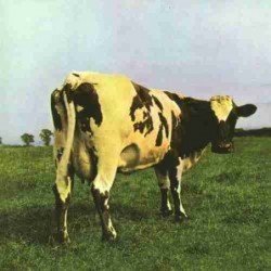 PINK FLOYD - ATOM HEART MOTHER (CD REED)