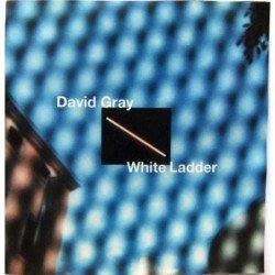 DAVID GRAY - WHITE LEDDER - CD