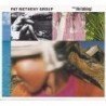 PAT METHENY - STILL LIFE (TALKING) - CD