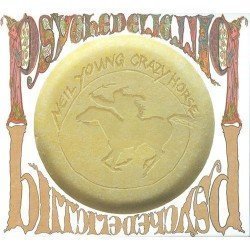 NEIL YOUNG & CRAZY HORSE - PSYCHEDELIC PILL - 2CD