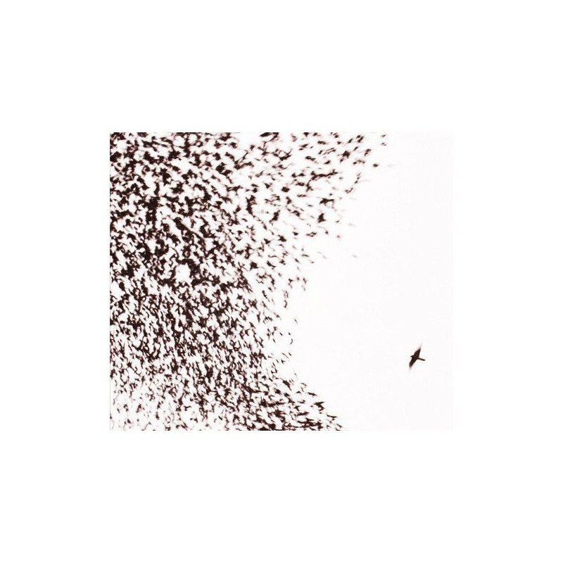WILCO - SKY BLUE SKY - CD WILCO - SKY BLUE SKY - CD