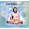BUDDHA BAR - SUMMER VIBES (RAVIN CHARLES SCHILLINGS) - 2 CD ESP