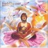 BUDDHA BAR - BEST OF BY RAVIN/CREATOR OF LEGEND SINCE - LP