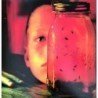 ALICE IN CHAINS - JAR OF FLIES - LP