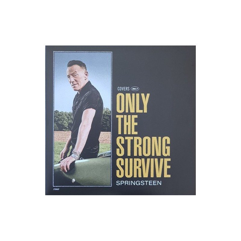 BRUCE SPRINGSTEEN - ONLY THE STRONG SURVIVE (2LP COLOR) - 2 LP BRUCE SPRINGSTEEN - ONLY THE STRONG SURVIVE (2LP COLOR) - 2 LP
