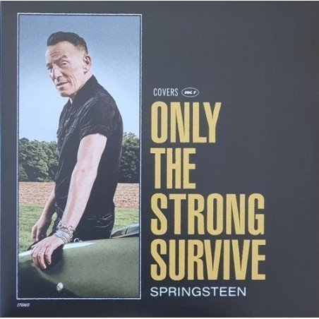 BRUCE SPRINGSTEEN - ONLY THE STRONG SURVIVE (2LP COLOR) - 2 LP