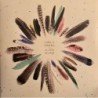CARLOS SADNESS - LA IDEA SALVAJE - LP