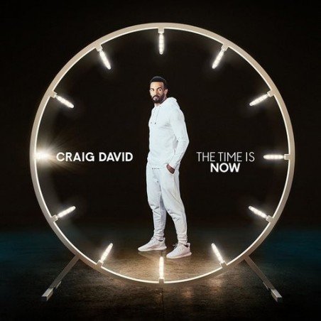 CRAIG DAVID - THE TIME IS NOW - CD