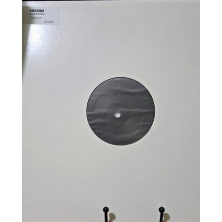 EVANESCENCE - THE BITTER TRUTH - 2 LP