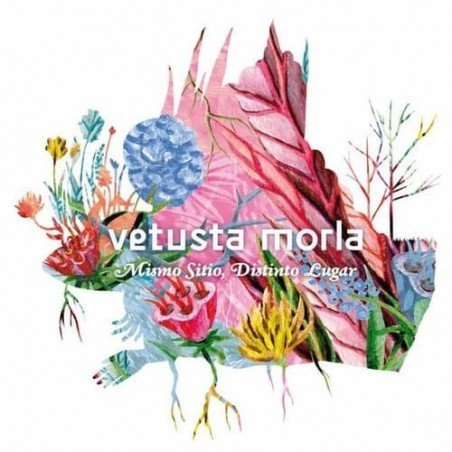 VETUSTA MORLA - MISMO SITIO, DISTINTO LUGAR - CD