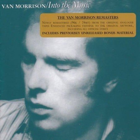 VAN MORRISON - INTO THE MUSIC - CD