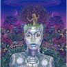 ERYKAH BADU - NEW AMERYKAH PART II (RETURN OF THE ANKH - CD