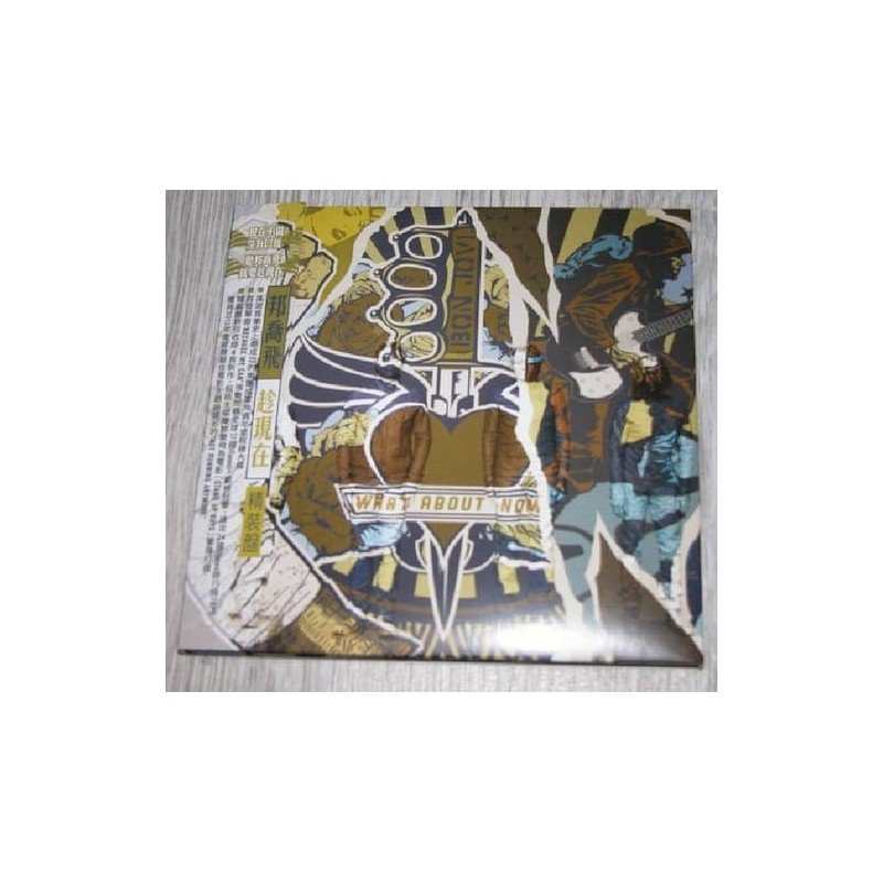 BON JOVI - WHAT ABOUT NOW - CD ESPEC BON JOVI - WHAT ABOUT NOW - CD ESPEC