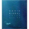 DAVID BISBAL - ANTES QUE NO - CDSG