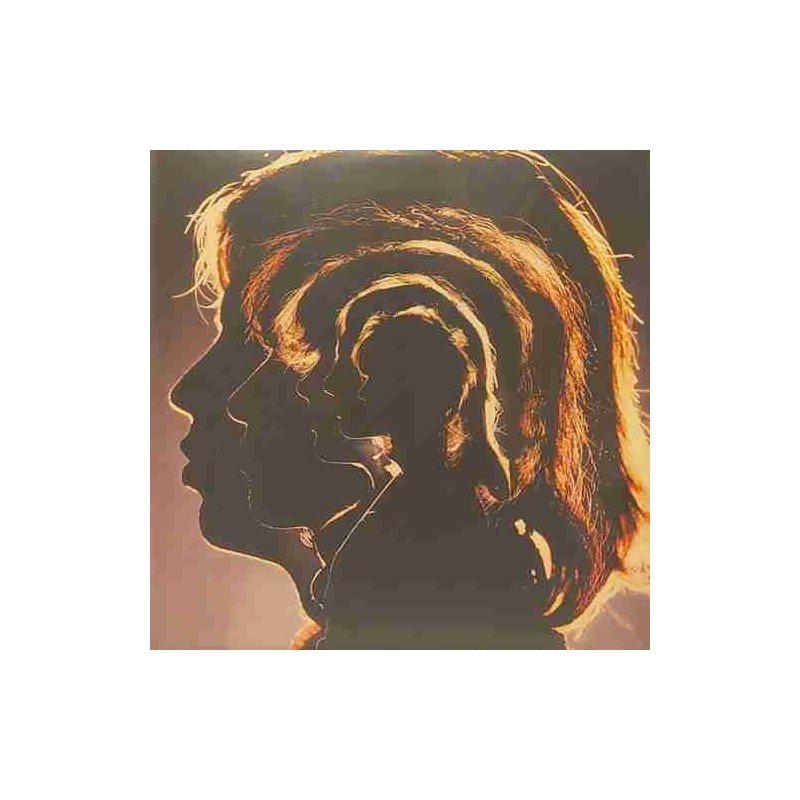 ROLLING STONES - HOT ROCKS - 2 LP ROLLING STONES - HOT ROCKS - 2 LP