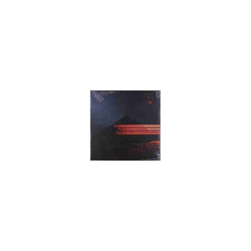 DOMINIC FIKE - WHAT COULD POSSIBLY GO WRONG - LP DOMINIC FIKE - WHAT COULD POSSIBLY GO WRONG - LP
