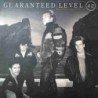 LEVEL 42 - GUARANTEED (LP 180 GR.) - 2 LP